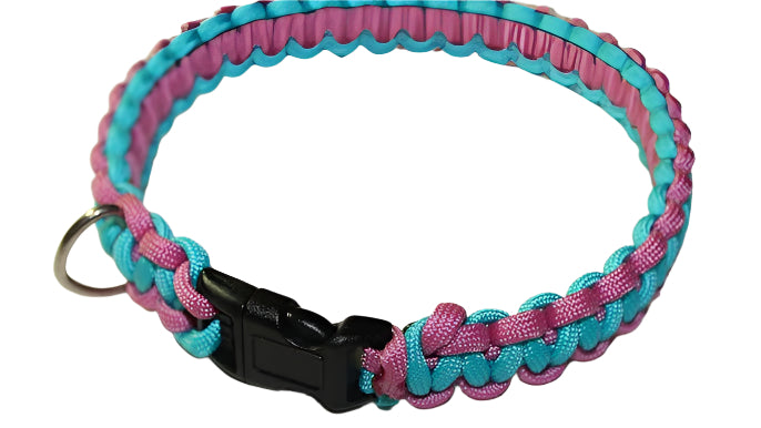 Two Colored Dog Collar