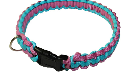 Two Colored Dog Collar
